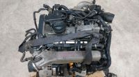 VW New Beetle AWU 1.8T 20V Austausch Motor engine 150PS Komplett Nordrhein-Westfalen - Saerbeck Vorschau