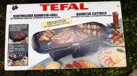 Elektrischer Barbacue-Grill Rheinland-Pfalz - Alzey Vorschau