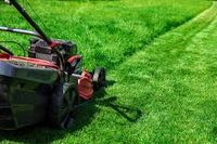 Gartenarbeit in Triangel Niedersachsen - Sassenburg Vorschau