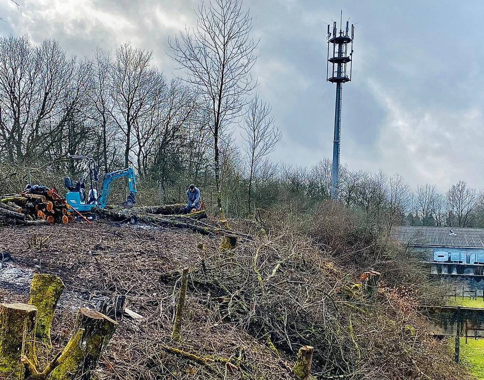 Minibagger Microbagger Bagger Kettenbagger Vermietung / mieten in St. Wendel
