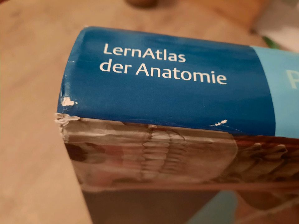 Thieme Prometheus Lernatlas der Anatomie in Nürnberg (Mittelfr)