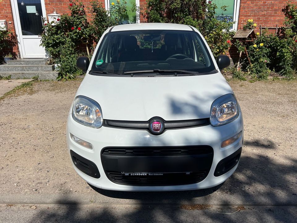 Fiat Panda in Lübeck