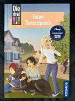 Die drei !!! Niedersachsen - Laatzen Vorschau