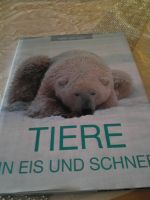 Bücher Buch "Tiere im Eis" - NEU NEU !! Bayern - Bamberg Vorschau