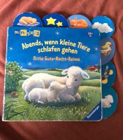 Abends,wenn kleine Tiere schlafen gehen Buch Saarland - Illingen Vorschau