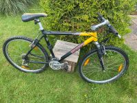 Scott Yecora Hardtail Mountainbike 26Zoll Niedersachsen - Stadthagen Vorschau