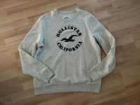 Hollister Sweatshirt Pullover Größe L - NEU Bayern - Zapfendorf Vorschau