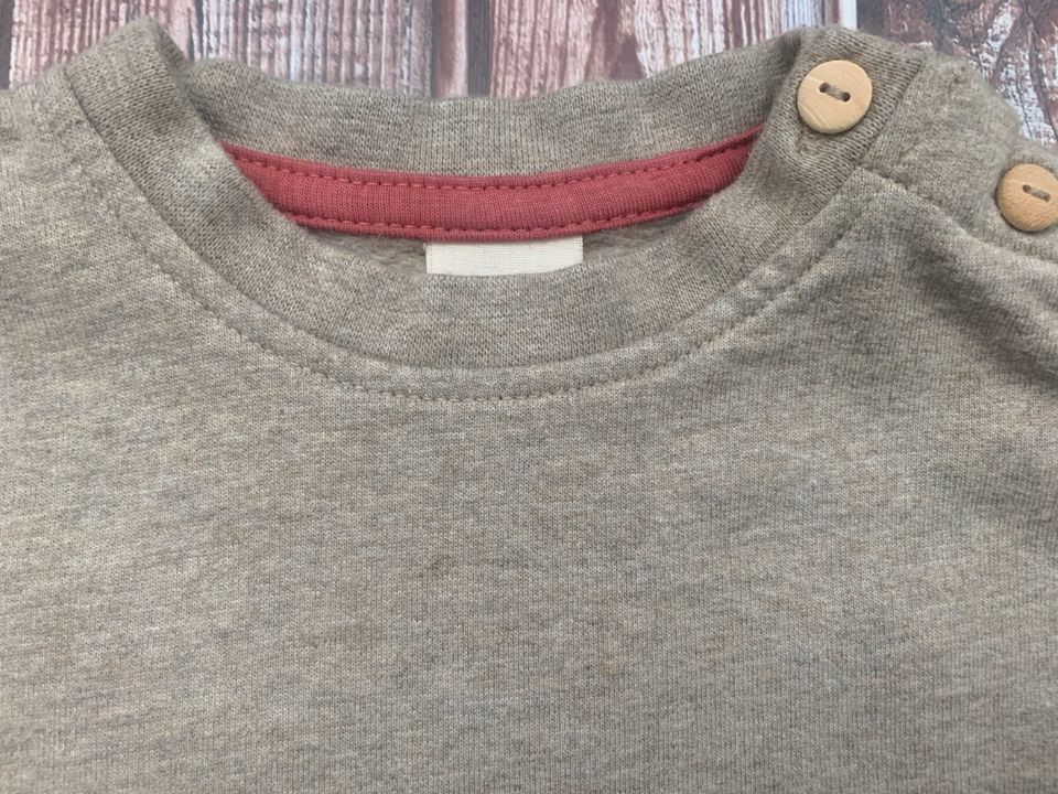 Alana Sweatshirt Schaf beige Biobaumwolle Gr. 74 in Solingen