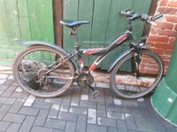 Fahrrad 26 Zoll Rheinland-Pfalz - Katzenelnbogen Vorschau