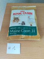 #1 Maine Coon 31 Adult Royal Canin Sachsen - Pausa/Vogtland Vorschau