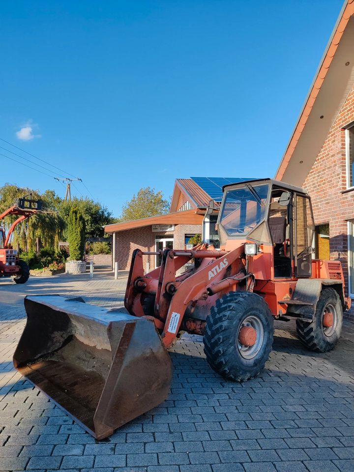 Atlas Radlader AR 62 E gebraucht in Drensteinfurt