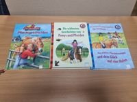 Kinderbücher Pferde und Ponygeschichten Hessen - Zwingenberg Vorschau