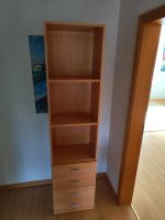 Schrank Büro oder Kinderzimmer Aktenschrank Bücherschrank Niedersachsen - Wennigsen Vorschau