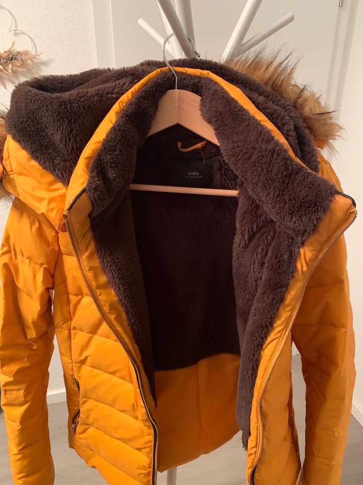 Winterjacke Zara in gelb mit braunem Fell XL in Freudenberg