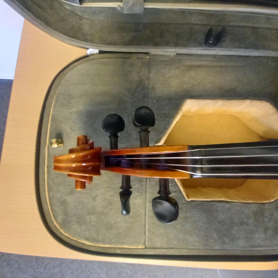 R. Paesold 4/4 Geige Violine in Oldenburg