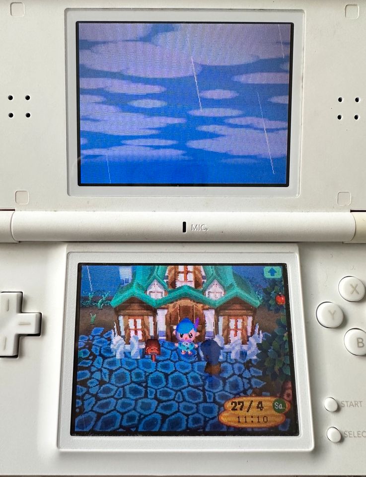 Animal Crossing Wild World Nintendo DS Spiel in Hünxe