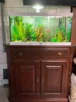 Aquarium Aqualantis Komplettset Sachsen-Anhalt - Köthen (Anhalt) Vorschau