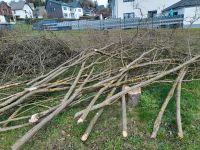 Holz zu verschenken Hessen - Merenberg Vorschau