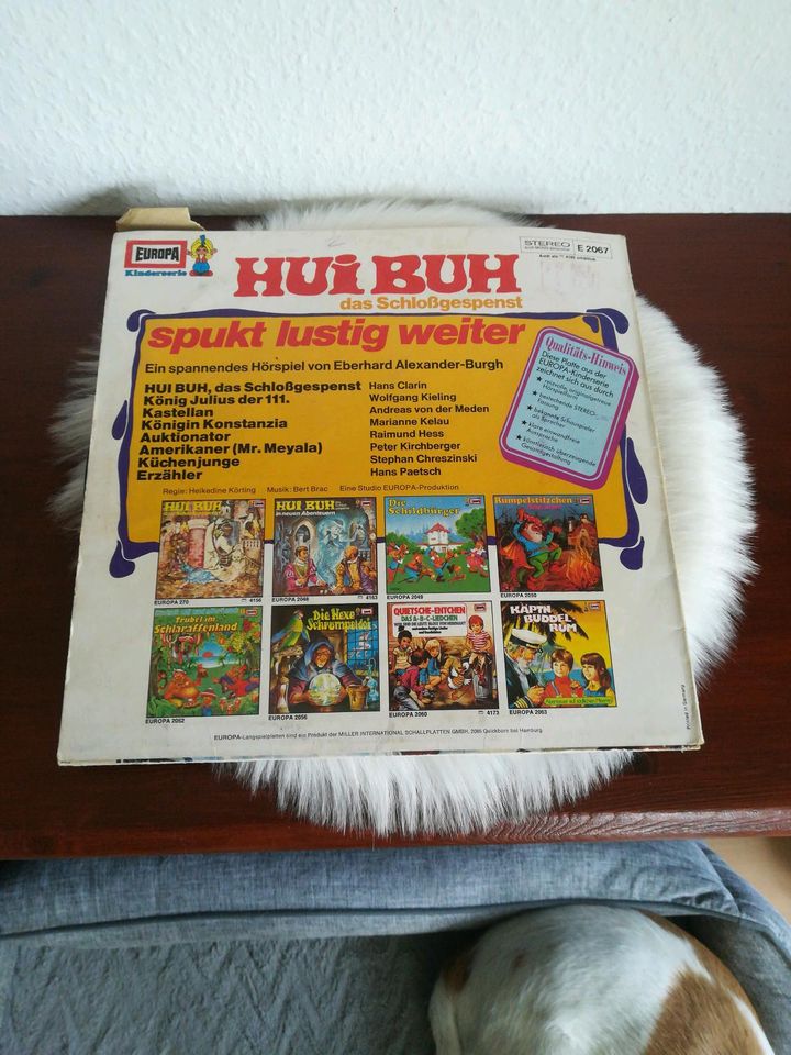 Hui Buh Schallplatten Konvolut in Bremen