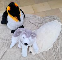 Pinguin, Hund und Seelöwe Kr. München - Grünwald Vorschau