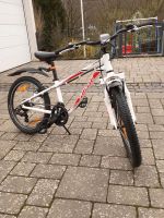 Kindermountainbike Specialized Hotrock 20 Zoll Hessen - Sinn Vorschau