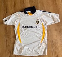 Replika LA Galaxy Trikot Niedersachsen - Osterholz-Scharmbeck Vorschau