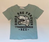 3x schöne Dino T-Shirts Gr.92/98 von H&M, Gap, Adidas Nordrhein-Westfalen - Frechen Vorschau