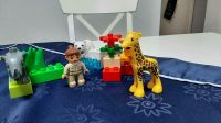 Lego Duplo Zoo Tiere Nr. 4962 Hessen - Hanau Vorschau