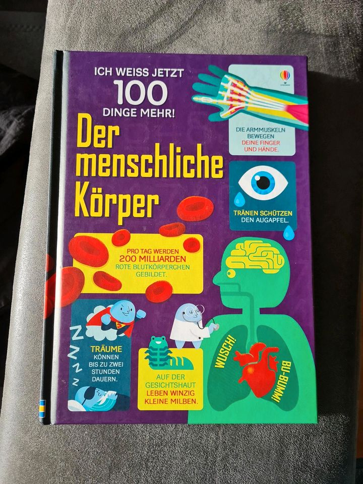 Usborne Kinderbuch NEU Der menschliche Körper in Stuttgart