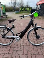 Winora Manto legänderer Frontmotor Elektrofahrrad E Bike Schleswig-Holstein - Flintbek Vorschau