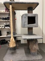 Kratzbaum für Katzen Hessen - Bruchköbel Vorschau
