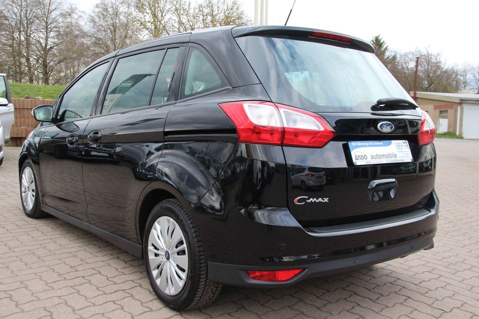 Ford Grand C-MAX 2.0 Business Edition Automatik Navi in Nordhausen