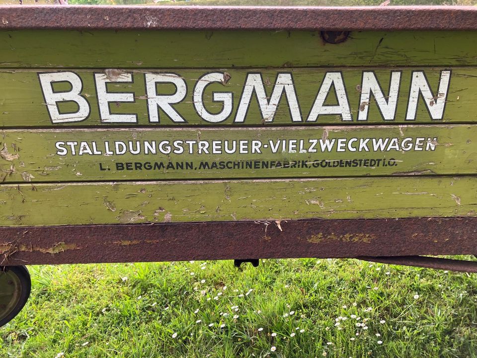 Bergmann miststreuer, voll funktionsfähig. in Friedeburg