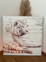 Bild Leinwand Weißer Tiger 80 x 80 cm Nordrhein-Westfalen - Paderborn Vorschau