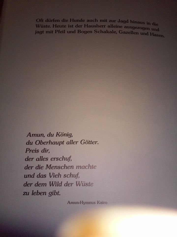 Die alten Ägypter und ihre Tiere. Ein Sach- Mal-und Bilderbuch in Bad Segeberg