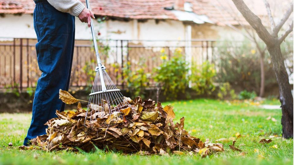 Biete Gartenarbeiten an in Duisburg