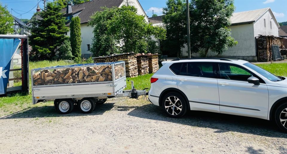 4,2 SRM 3RM trockenes Brennholz Esche Buche inkl. Lieferung in Köln