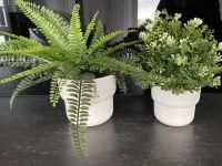 2 Blumentöpfe Ikea Neu mit Kunstpflanzen Pflanztöpfe weiss Hessen - Schotten Vorschau