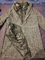 Umstandsjacke mit Tragecover/Tragejacke Übergangsjacke Gr 50 Flensburg - Fruerlund Vorschau