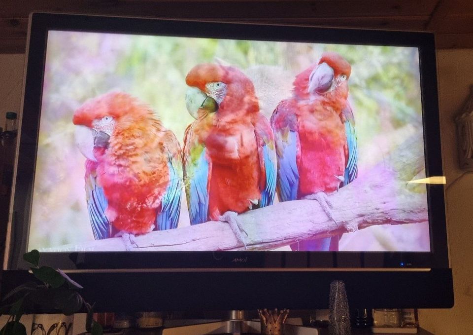 LCD AMOI TV 47 Zoll ECHTGLASSCHEIBE in Groß-Umstadt