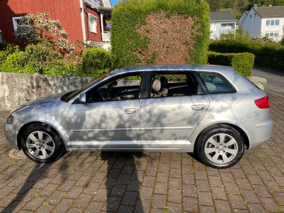 Audi A3 1.6 tiptronic Ambiente Sportback in Altena