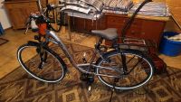 Damen E-BIKE Pegasus Atlanta Bayern - Aldersbach Vorschau