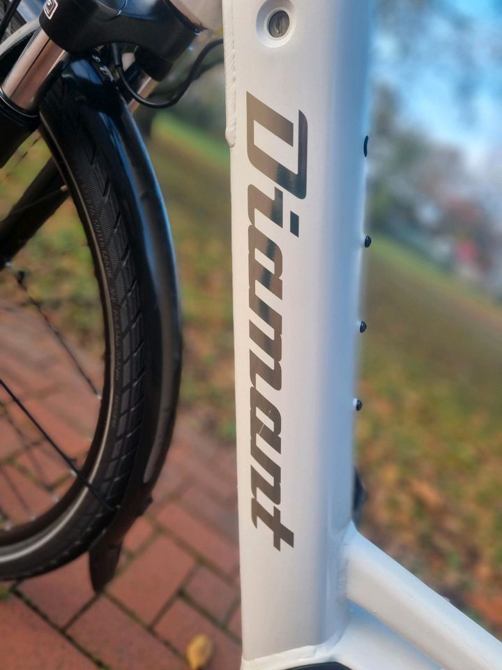 E-Bike Diamant Beryll Deluxe Bosch Mittelmotor in Duisburg