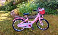 Puky Kinderfahrrad ZL16 Alu "Prinzessin Lillifee" Baden-Württemberg - Steinen Vorschau