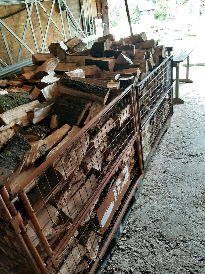 Kaminholz Brennholz zu verkaufen Esche Roteiche in Dortmund