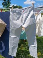 Esprit Chino Hose Herren  Größe 52 Köln - Lindenthal Vorschau