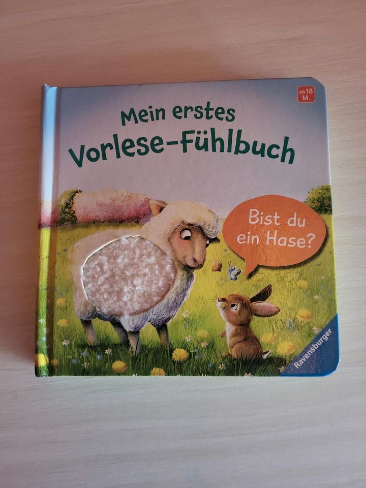 Fühlbuch Ravensburger in Villmar