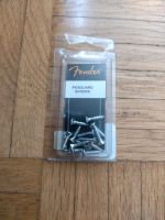 FENDER Pickguard Schrauben Screws NEU Niedersachsen - Braunschweig Vorschau