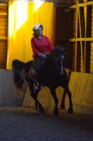 Reitbeteiligung bei Berching/Butzenberg zu vergeben Bayern - Berching Vorschau