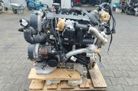 Fiat Ducato 2.3 F1AE3481D Motor Triebwerk Engine Nordrhein-Westfalen - Dorsten Vorschau